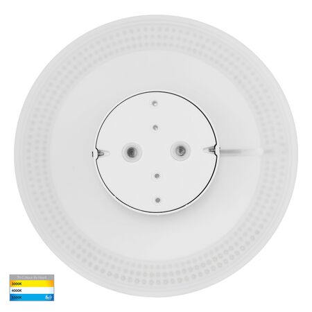 Halo White TRI Colour LED Wall Light