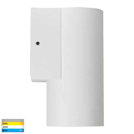 Aries 316 Stainless Steel White Down LED Wall Light