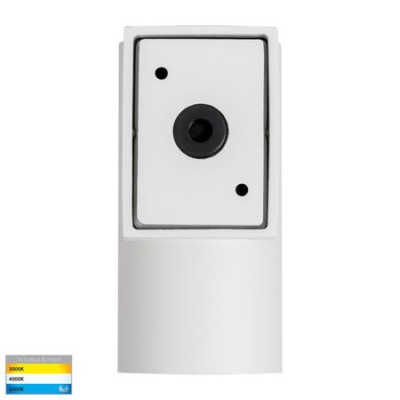 Aries 316 Stainless Steel White Down LED Wall Light