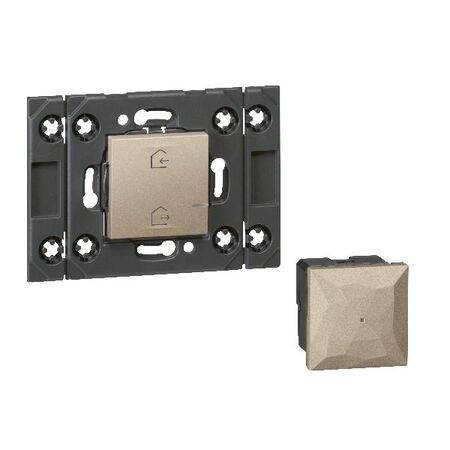 ARTEOR Gateway + Wireless Master Switch Mechanism - Horizontal 2 Module with Grid - Champagne