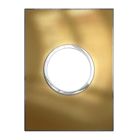 ARTEOR Round 2 Module Horizontal Coverplate Brushed Gold