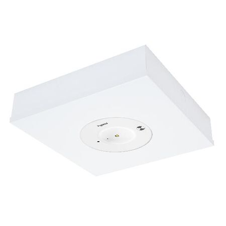 Economy LED Surface Satellite D40 - white finish with lithium battery