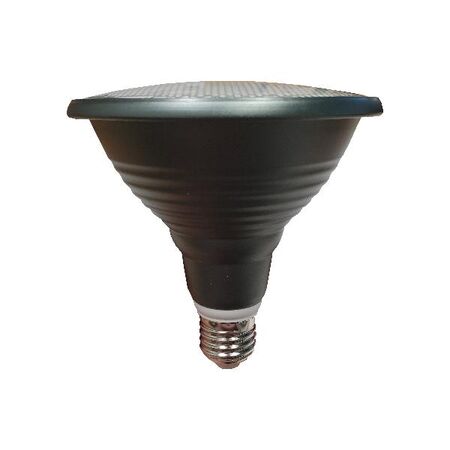HPM PAR38 14W 1100lm LED Edison Globe Warm White