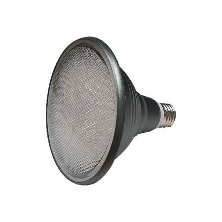 HPM PAR38 14W 1100lm LED Edison Globe Warm White