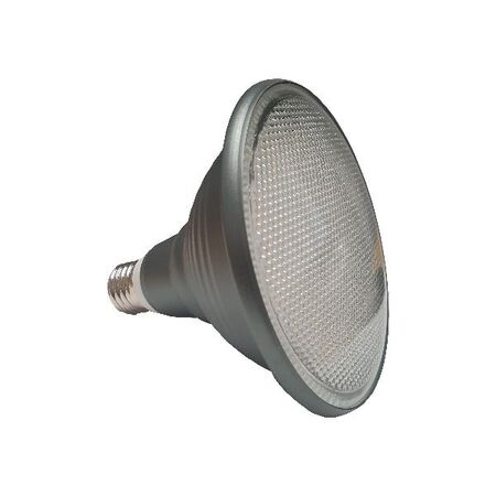 HPM PAR38 14W 1100lm LED Edison Globe Warm White