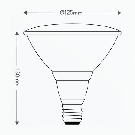 HPM PAR38 14W 1100lm LED Edison Globe Warm White