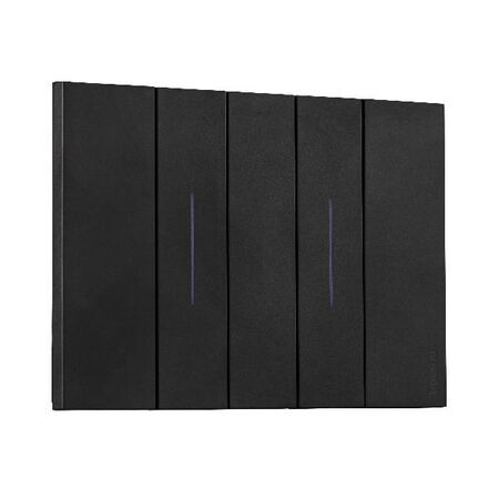 Bticino Living Now 10A 2 Gang Switch Black