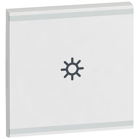 Arteor - MyHOME - Square key cover BUS/SCS - light symbol - 2 modules - white