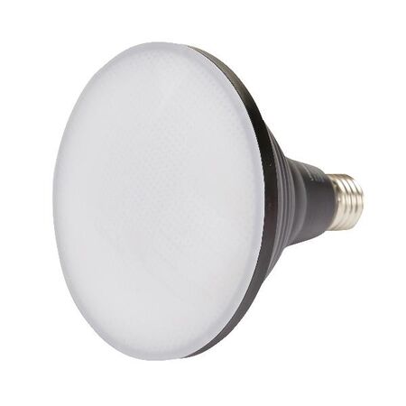 HPM PAR38 8W 800lm Cool White Globe Black