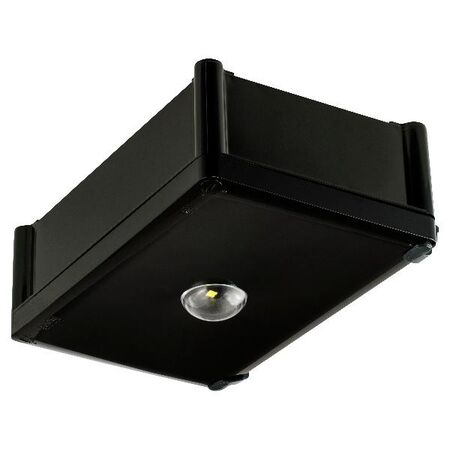 LED Super Satellite D100 - black finish with lithium battery - Axiom