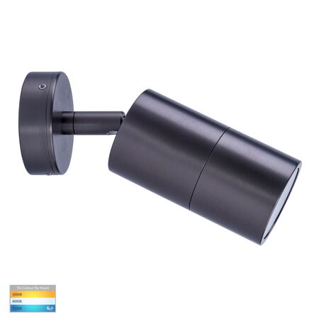 Tivah Solid Brass Graphite Coloured TRI Colour Single Adjustable Wall Pillar Lights