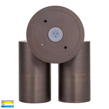 Tivah Antique Brass TRI Colour Double Adjustable Wall Pillar Lights