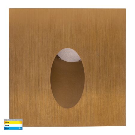 Reces Brass Square TRI Colour Recessed LED Step Light