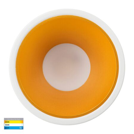 Gleam White with Gold Insert Tri Colour Fixed Deep LED Downlight
