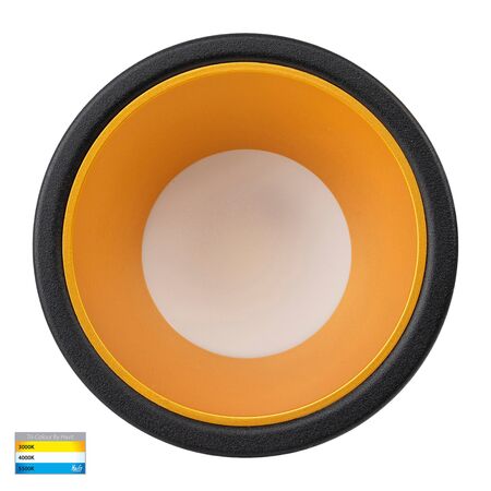 Gleam Black with Gold Insert Tri Colour Fixed Deep LED Downlight