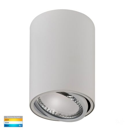 Nella 12w LED White Adjustable Surface Mounted Downlight