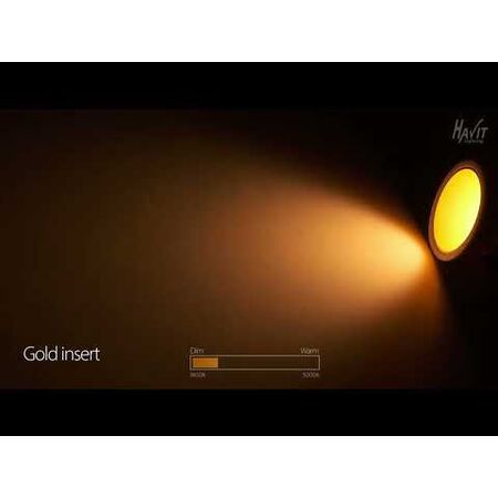 Gleam Black with Chrome Insert Fixed Dim to Warm LED Downlight