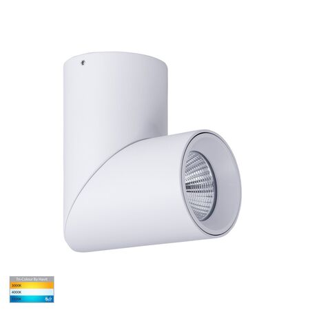 Nella White 12w Surface Mounted Rotatable LED Downlight
