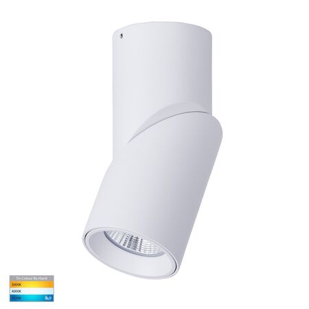 Nella White 12w Surface Mounted Rotatable LED Downlight