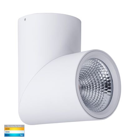 Nella White 24w Surface Mounted Rotatable LED Downlight
