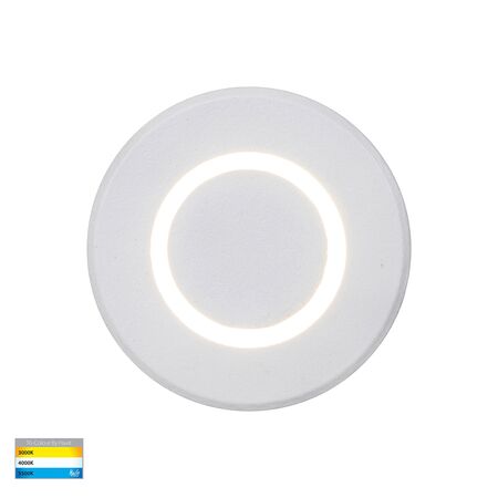 Brillo White Aluminium LED Wall or Inground Light