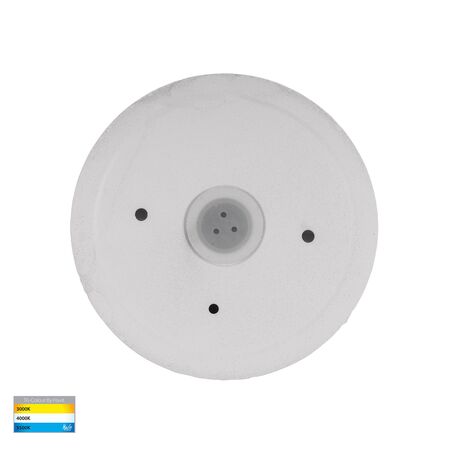 Veko White Step Lights with Eyelid