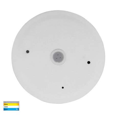 Veko White Step Lights with Eyelid
