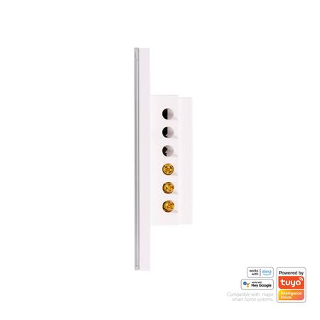 Wifi Single Gang White Wall Switch