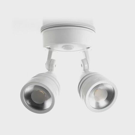 Focus Polycarbonate White Double Adjustable Spot Light With Sensor