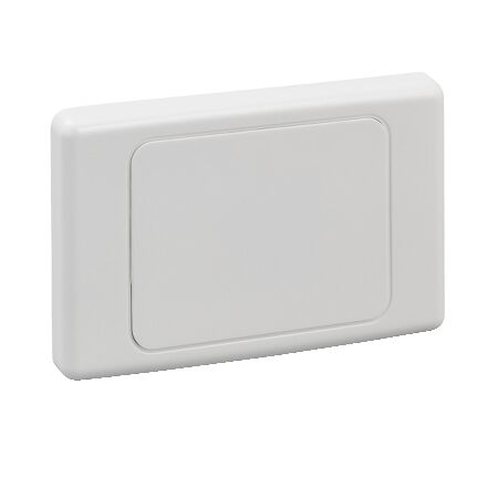 2000 Series, Flush Surround and Gridplate, Flush Surround and Gridplate, Blank, Vertical/Horizontal Mount, Standard Size - White Electric