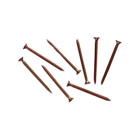 Clipsal - General Accessories, Bugle Head, Self Drilling Point, 8 X 63mm, Bag 100