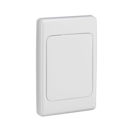 2000 Series, Flush Surround and Gridplate, Blank, Vertical/Horizontal Mount, Standard Size - White Electric