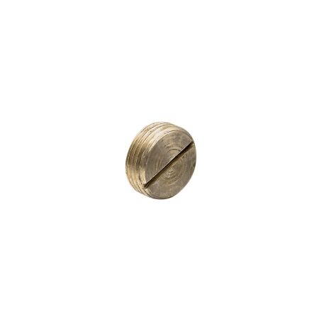 Clipsal - Cable Management, Screwed Conduit, 20mm, Brass Plug