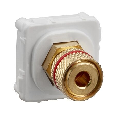 Clipsal Actassi, Banana Connector, Red Band - White Electric