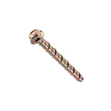 ANKA SCREW 16 x 160mm (10)