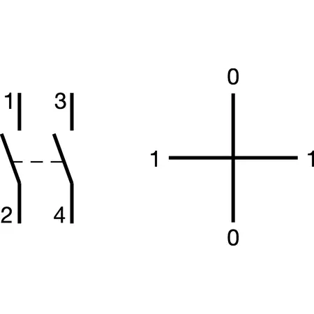 2 Spare keys for SK606