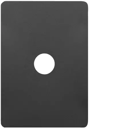 Allure 1 Gang Switch Plate MB