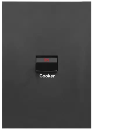 FIN Cooker switch 40A DP  Vert MB