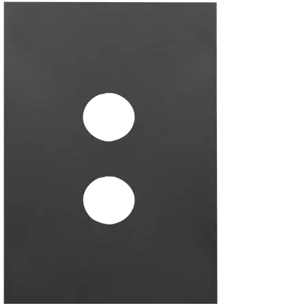 FIN 2 Gang Switch Plate MB