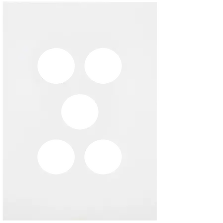 FIN 5 Gang Switch Plate