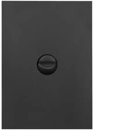 FIN 1 Gang Switch Plate cw mechs MB