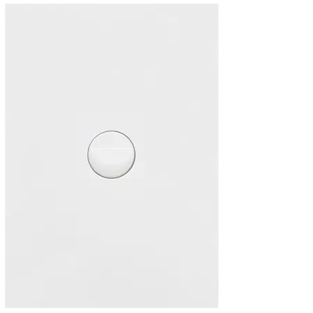 FIN 1 Gang Switch Plate cw mechs MW