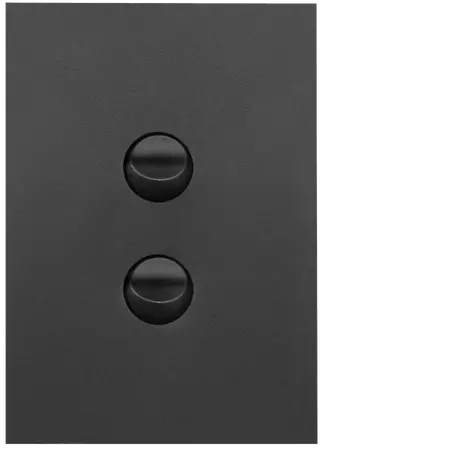 FIN 2 Gang Switch Plate cw mechs MB