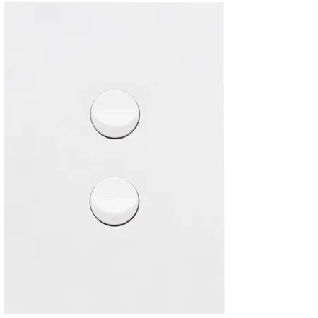 FIN 2 Gang Switch Plate cw mechs MW