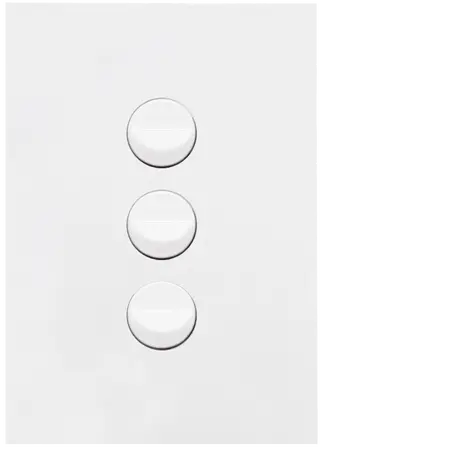 FIN 3 Gang Switch Plate cw mechs MW