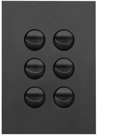 FIN 6 Gang Switch Plate cw mechs MB