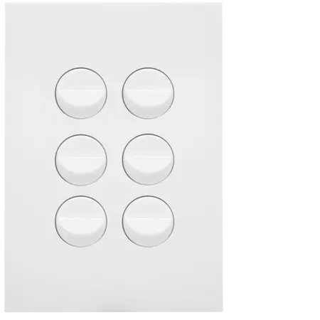 FIN 6 Gang Switch Plate cw mechs MW