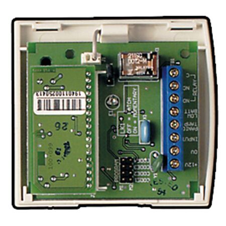 NESS AUX ONLY 1CH Radio Receiver