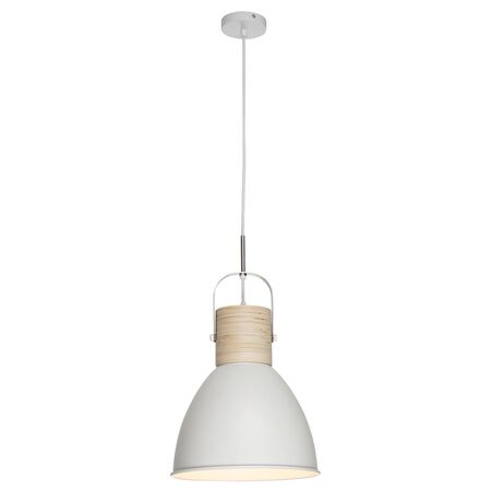 Calico 1Lt Pendant Light