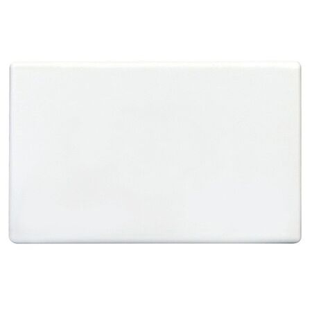 BLANK PLATE,